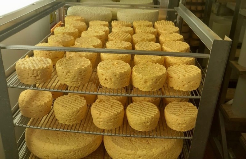 Cheeses on racks at Hartington Creamery